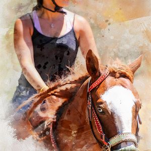 Fotogineel_schilderij_ruiter